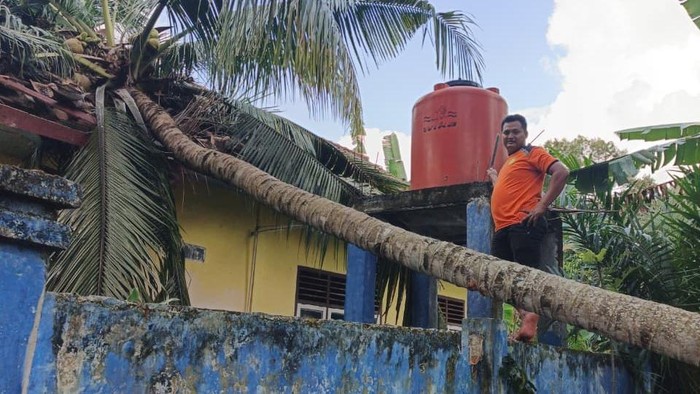 Atap sekolah di OKU Selatan rusak tertimpa pohon kelapa saat terjadi angin puting beliung
