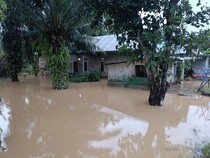 Hujan Lebat Landa Bengkulu, 3 Kabupaten dan Kota Terendam Banjir