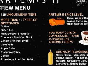 Mengintip Bekal Astronot dalam Misi Artemis II, Ada 189 Jenis Makanan