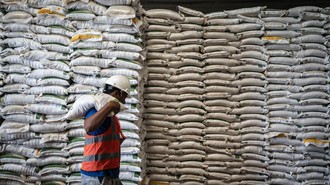 Stok Beras Nasional Tembus 4,8 Juta Ton