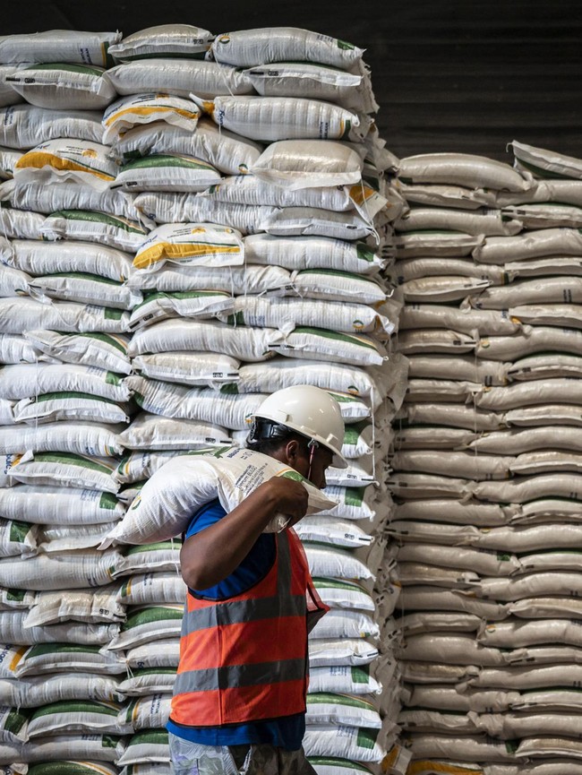 Cadangan Beras 4,5 Juta Ton, Jamin Pasokan di Tengah Gejolak Global