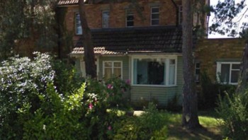 Rumah lama yang menyatu dengan alam dan pepohonan kini digantikan desain modern minimalis. Banyak yang menilai suasana asrinya ikut hilang. Foto: Boredpanda