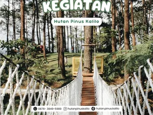 8 Tempat Wisata di Purworejo Selain Pantai Paling Populer