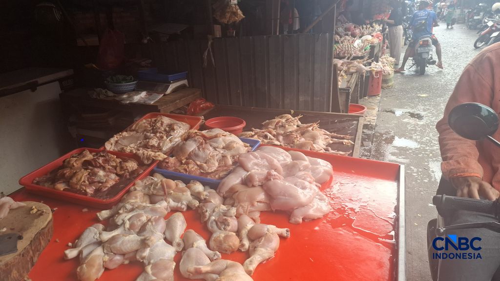 Kenaikan harga plastik kemasan mulai berdampak pada pedagang-pedagang daging dan sayuran, di mana kini mereka tengah resah karena naiknya harga plastik mempengaruhi pendapatan mereka. (CNBC Indonesia/Chandra Dwi)