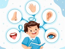 40 Nama Anggota Tubuh dalam Bahasa Jawa Ngoko, Krama Madya, dan Krama Inggil