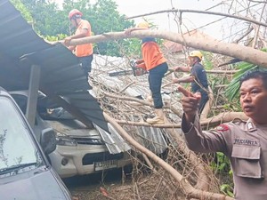 Pohon Tumbang Timpa Garasi dan Dua Mobil di Karangasem