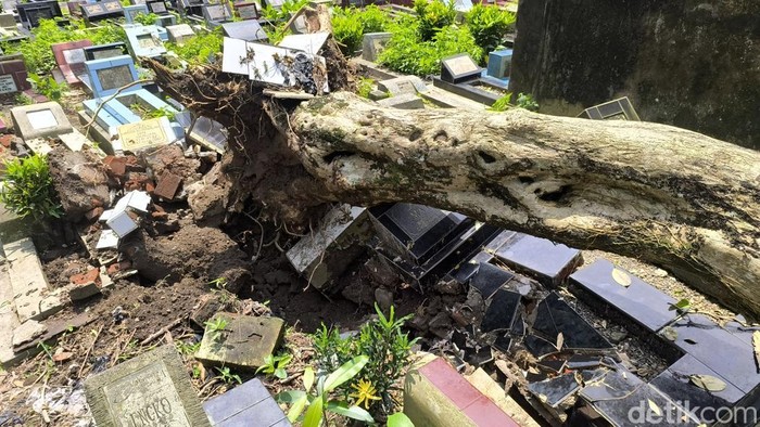 Pohon tumbang di TPU Cieunteung Tasikmalaya yang merusak puluhan makam .
