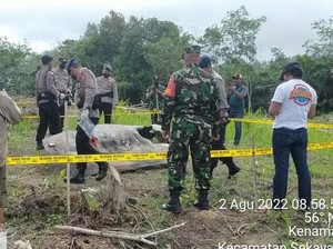 Heboh Sisa Roket Tiongkok Terlihat di Langit, 2022 Pernah Jatuh di Kalbar