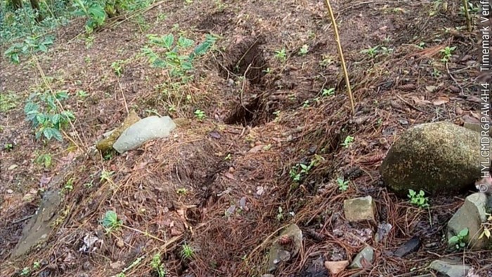 Tim gabungan mengecek retakan yang ditemukan di lereng Gunung Wilis, Nganjuk.