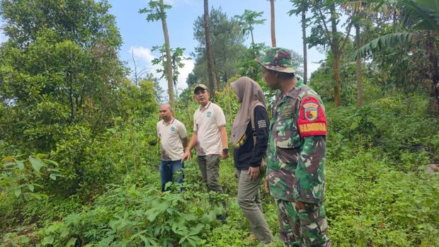 Tim gabungan mengecek retakan yang ditemukan di lereng Gunung Wilis, Nganjuk. Tim gabungan mengecek retakan yang ditemukan di lereng Gunung Wilis, Nganjuk.