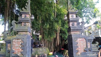 Umbul Sigedhang dan Kapilaler Warisan Mata Air Mataram Hindu