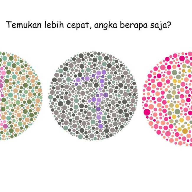 Kalau Mata Tak Buta Warna, Harusnya Mudah Selesaikan Permainan Gambar Ini