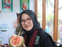 Produksi Durian Songgon Banyuwangi Capai 3.716 Ton per Tahun