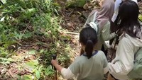 Dion Wiyoko mengunggah beberapa video aktivitas keluarganya hiking ke curug. Ada Sheila Dara Aisha, lawan mainnya di Sore: Istri dari Masa Depan yang ikut. Sheila terlihat menggandeng tangan putri semata wayang Dion dan Fiona, Gianna Mae Wiyoko atau GG. Foto: Instagram Story @dionwiyoko