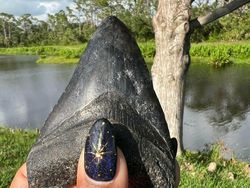 Deretan Foto Fosil Temuan Warga Ini Bikin Melongo!