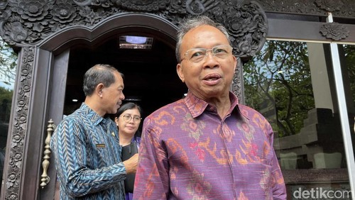 Gubernur Bali Wayan Koster. (Foto: Rizki Setyo/detikBali)