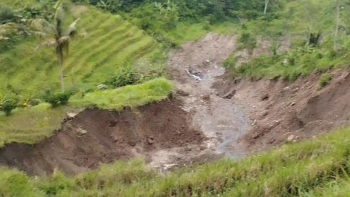 Lahan persawahan yang terkena material longsoran di Dusun Citran, Desa Ngepanrejo, Kecamatan Bandongan, Kabupaten Magelang, Senin (6/4/2026).