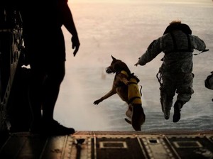 Profil SEAL Team Six, Tim Elit Operasi Rahasia Penyelamat Pilot AS di Iran