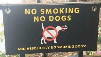 Sebuah tanda larangan menegaskan bahwa tidak boleh ada anjing dan tidak boleh merokok di area tersebut, terutama larangan keras bagi anjing yang sedang merokok untuk berada di dalam premis. Indy500Fan16 via BoredPanda
