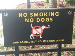 Papan Peringatan Nyeleneh Ini Bikin Senyum Sendiri