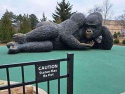 Papan Peringatan Nyeleneh Ini Bikin Senyum Sendiri