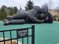 Papan Peringatan Nyeleneh Ini Bikin Senyum Sendiri