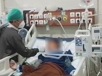 Bocah Tasikmalaya Digigit Ular Weling, Opname 10 Hari-Biaya Rp 200 Juta