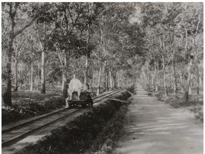 Sejarah Sengketa Tanah Perkebunan di Sumatera Timur Pascakolonial