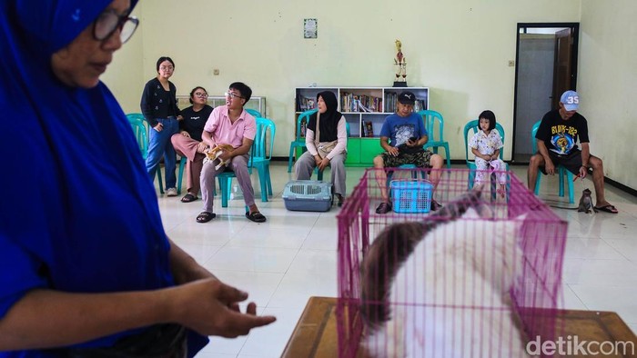 Petugas menyuntikkan vaksin rabies pada seekor kucing peliharaan di Gedung SKKT Pesanggrahan, Jakarta, Selasa (7/4/2026). Kegiatan ini merupakan bagian dari upaya pencegahan penyebaran rabies pada hewan peliharaan di wilayah Jakarta Selatan.