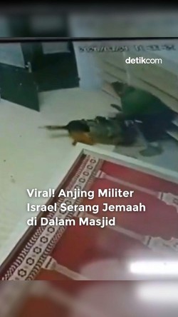 Video: Kejam! Anjing Militer Israel Serang Jemaah Masjid di Tepi Barat