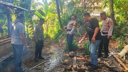 Lokasi warga tertimpa buah kelapa di Manggis, Karangasem, Selasa (7/4/2026).