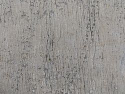 Bolivia Perkuat Perlindungan Situs Jejak Dinosaurus Cal Orcko