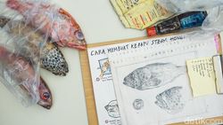 Pameran Bertema Makanan Tawarkan Cara Baru Menikmati Seni