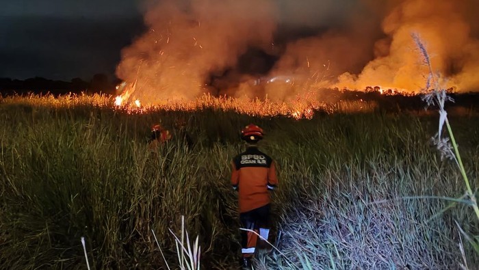 Petugas berupaya memadamkan karhutla di Ogan Ilir