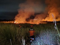 Kalbar-Kalsel Waspada Karhutla Mulai Bulan Juli 2026