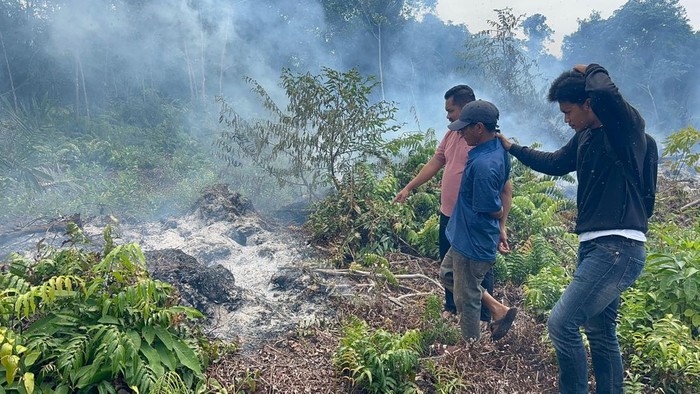 Polres Bengkalis menangkap pelaku pembakaran lahan seluas 0,5 hektare.