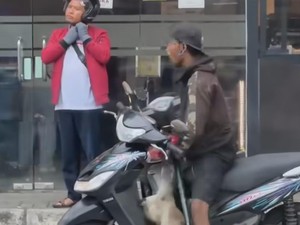 Viral Video Pria Pukul Anjing di Mataram, Pegiat Hewan Minta Polisi Bergerak