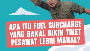 Video: Harga tiket pesawat berpotensi naik!