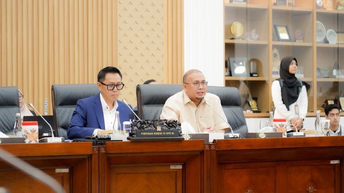 Wakil Ketua Komisi VI DPR RI, Andre Rosiade (dok. ist)