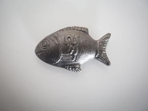 Iron Lucky Fish: Ikan Besi untuk Bantu Cegah Anemia, Benarkah Efektif?