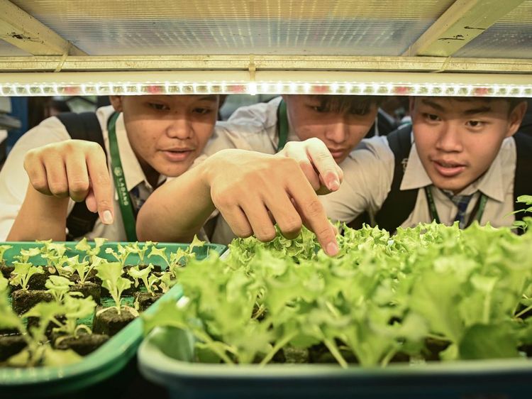Agro Eduwisata di Jakarta, Siswa Antusias Pelajari Hidroponik di Kebun Vertikal