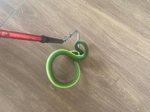 Hii! Ular Hijau Berbisa Nongol Saat Warga Pedurungan Bersih-bersih Teras