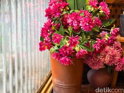 Jajal Kamera Huawei Mate 80 Pro, Hasilnya Tak Terduga