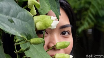 Kemampuan telefoto menangkap portrait dengan kompresi perspektif yang natural dan detail wajah tetap tajam. Foto: Adi FR/detikINET