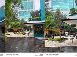 Jajal Kamera Huawei Mate 80 Pro, Hasilnya Tak Terduga