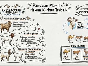 5 Jenis Kambing Kurban Terbaik di Indonesia, Ini Ciri yang Dipilih Rasulullah