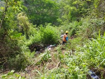 Kronologi Mobil Bawa 4 Orang Sekeluarga Masuk Jurang Enrekang hingga 1 Tewas