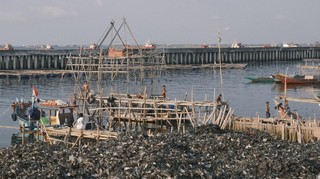 Museum MACAN dan Grundfos Indonesia Luncurkan Inisiatif Seni CORAL di Cilincing