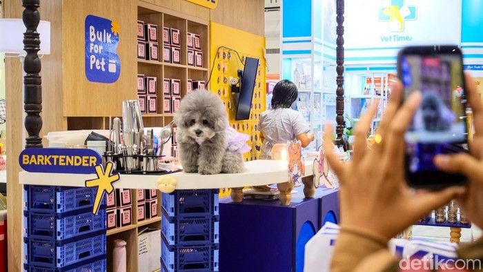 PAW Expo 2026 resmi digelar di NICE PIK 2, Tangerang, menghadirkan pengalaman interaktif bertajuk “Paw-radise” bagi para pecinta hewan. Pameran yang berlangsung hingga 12 April 2026 di Hall 1–3A ini menjadi ajang berkumpulnya komunitas serta pelaku industri hewan peliharaan dalam satu ruang yang edukatif dan menghibur.