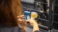 Salah satu daya tarik utama adalah area Mini Zoo dan Touch Pool yang memungkinkan pengunjung berinteraksi langsung dengan hewan seperti kuda, anjing, hingga ikan.
